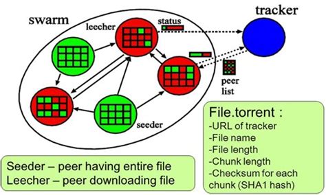 seeder torrent